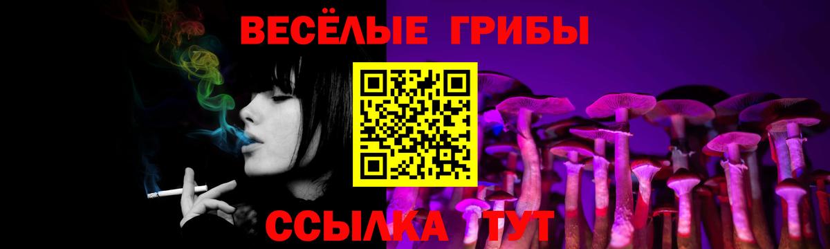 Ухта  Псилоцибиновые грибы MAGIC MUSHROOMS  Вход с VPN 